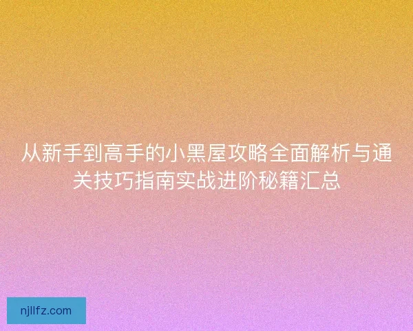 从新手到高手的小黑屋攻略全面解析与通关技巧指南实战进阶秘籍汇总