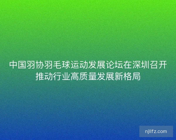 中国羽协羽毛球运动发展论坛在深圳召开推动行业高质量发展新格局